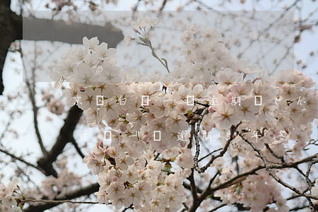 京東白條一萬逾期會(huì)怎么樣(京東白條一萬逾期5年多)