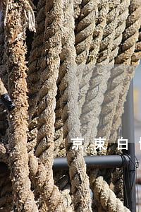 京東白條三期提前還款要不要利息