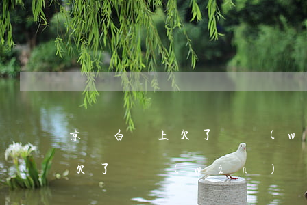 京東白條上欠了幾萬(wàn)(京東白條上欠了幾萬(wàn))