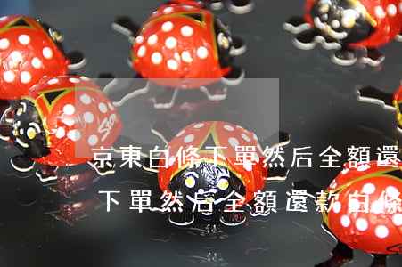 京東白條下單然后全額還款白條-京東白條下單然后全額還款白條還能用嗎