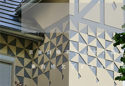 京東白條不小心欠了幾塊錢(qián)(京東白條欠了3000塊錢(qián)快一年了說(shuō)是要來(lái)抓我)