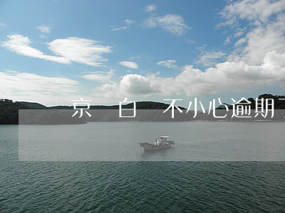 京東白條不小心逾期了（京東白條買電腦逾期）