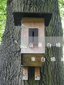 京東白條不提醒還款導(dǎo)致逾期(京東白條逾期未還)