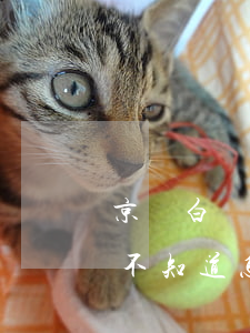 京東白條不知道怎么還款怎么辦-京東白條不知道怎么還款怎么辦呢
