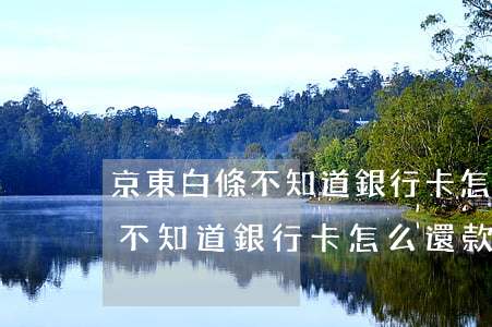 京東白條不知道銀行卡怎么還款-京東白條不知道銀行卡怎么還款了