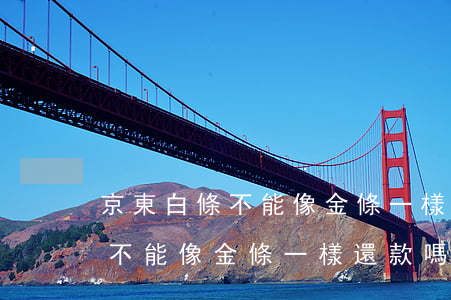 京東白條不能像金條一樣還款嗎-京東白條不能像金條一樣還款嗎為什么