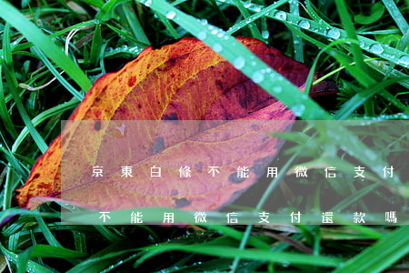 京東白條不能用微信支付還款嗎-京東白條不能用微信支付還款嗎為什么