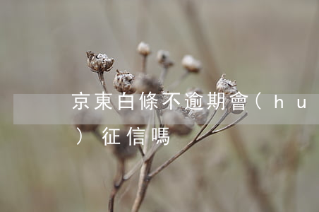 京東白條不逾期會(huì)上報(bào)征信嗎