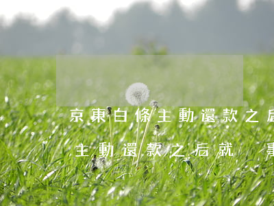 京東白條主動還款之后就沒事了-京東白條主動還款之后就沒事了嗎