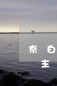 京東白條主動還款怎么借不出來了-京東白條主動還款怎么借不出來了呢
