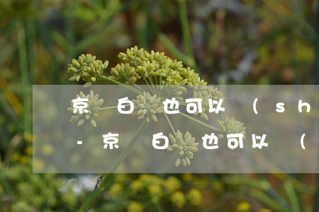 京東白條也可以設(shè)置自動還款嗎-京東白條也可以設(shè)置自動還款嗎安全嗎