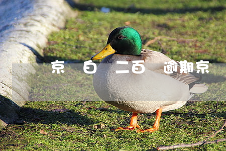 京東白條二百塊逾期(京東白條幾十元逾期)