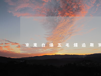 京東白條五毛錢逾期(京東白條逾期5天)