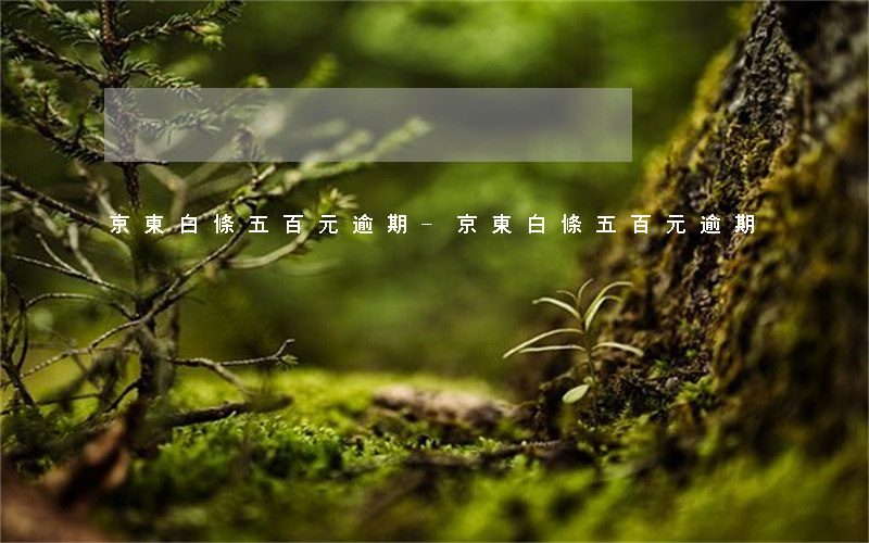 京東白條五百元逾期-京東白條五百元逾期