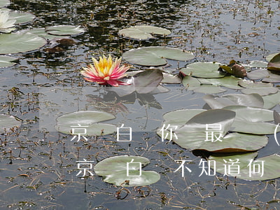 京東白條你們最長時(shí)間欠了多久(京東白條不知道何時(shí)欠幾毛錢)