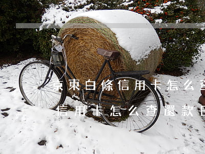 京東白條信用卡怎么查還款日期-京東白條信用卡怎么查還款日期和時間