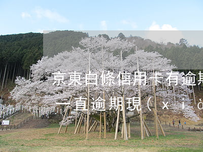 京東白條信用卡有逾期可以嗎(京東白條之前一直逾期,現(xiàn)在信用上不去)
