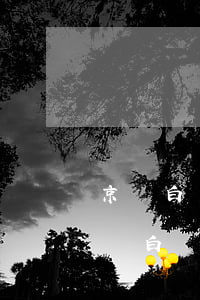 京東白條信用卡為什么分期支付不能用-京東白條分期怎么不能用