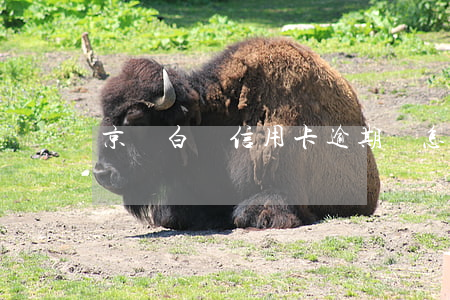 京東白條信用卡逾期會怎么樣