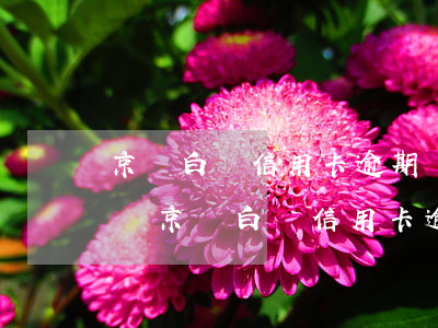 京東白條信用卡逾期還款會(huì)怎么樣(京東白條信用卡逾期還款會(huì)怎么樣)