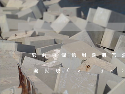京東白條信用逾期怎么辦(京東白條之前一直逾期,現(xiàn)在信用上不去)