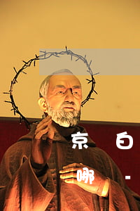 京東白條修改還款日期權(quán)益在哪買-京東白條 修改還款日