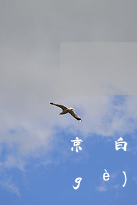 京東白條個(gè)性化分期(京東白條個(gè)性化分期)