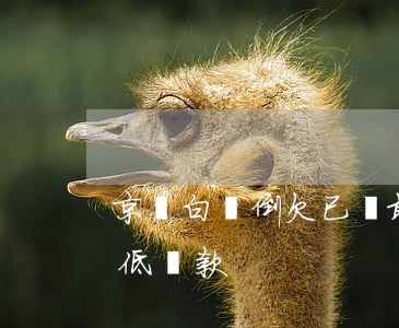 京東白條倒欠已還最低還款(京東白條還了最低還款)