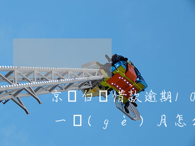 京東白條借款逾期10天(京東白條借款逾期一個(gè)月怎么辦?)