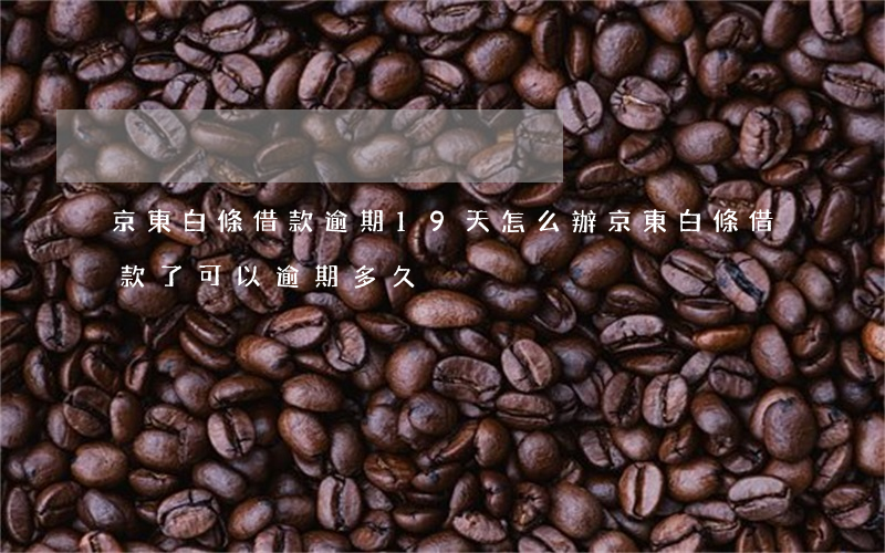 京東白條借款逾期19天怎么辦(京東白條借款了可以逾期多久)