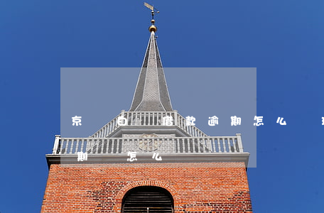 京東白條借款逾期怎么處理(京東白條借款逾期還怎么樣)