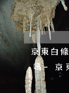 京東白條借現(xiàn)金可以分期還款嗎-京東白條借現(xiàn)金可以分期還款嗎安全嗎