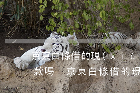 京東白條借的現(xiàn)金可以最低還款嗎-京東白條借的現(xiàn)金可以最低還款嗎安全嗎