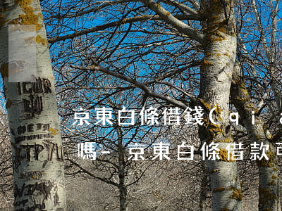 京東白條借錢(qián)可以還最低還款嗎-京東白條借款可以最低還款嗎