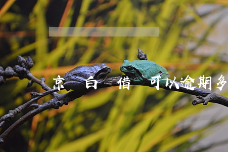 京東白條借錢可以逾期多久