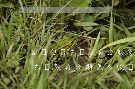 京東白條先還款再分期怎么收費-京東白條先還款再分期怎么收費的