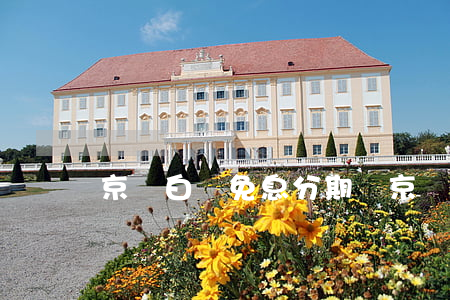 京東白條免息分期劵(京東白條免息卷在哪)