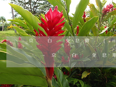 京東白條免息期內(nèi)還款還有利息嗎-京東白條免息期內(nèi)還款還有利息嗎多少