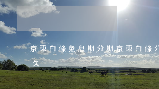 京東白條免息期分期(京東白條分期免息期多久)