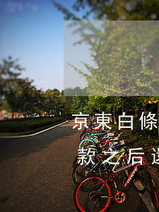 京東白條全部還清分期逾期(京東白條逾期還款之后還必須全部結(jié)清?)