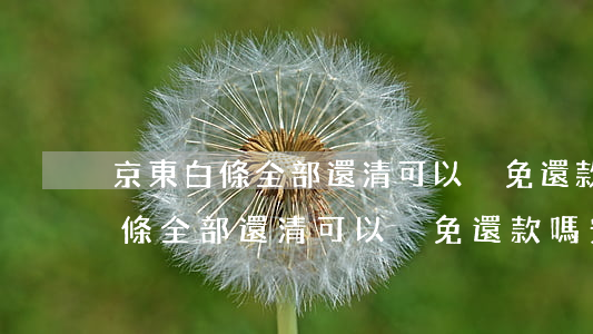 京東白條全部還清可以減免還款嗎-京東白條全部還清可以減免還款嗎安全嗎