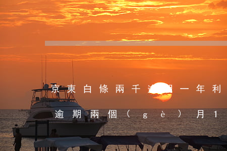京東白條兩千逾期一年利息多少-京東白條逾期兩個(gè)月1000塊