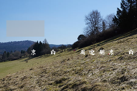 京東白條兩周逾期 京東白條逾期一周