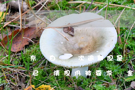 京東白條兩次逾期但是還清了(京東白條逾期已還清但仍被要求還全款)
