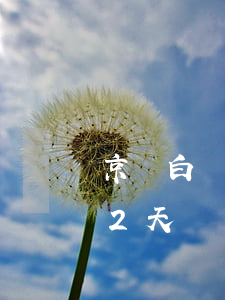 京東白條八百塊逾期(京東白條兩千八逾期32天)