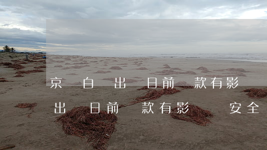京東白條出賬日前還款有影響嗎-京東白條出賬日前還款有影響嗎安全嗎