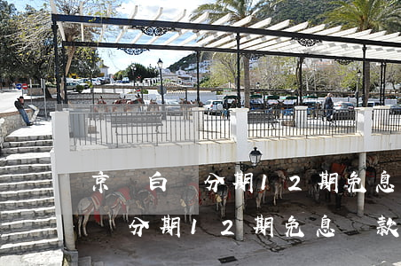 京東白條分期12期免息還款利率-京東白條分期12期免息還款利率是多少