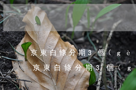 京東白條分期3個(gè)月后再次還款-京東白條分期3個(gè)月后再次還款可以嗎