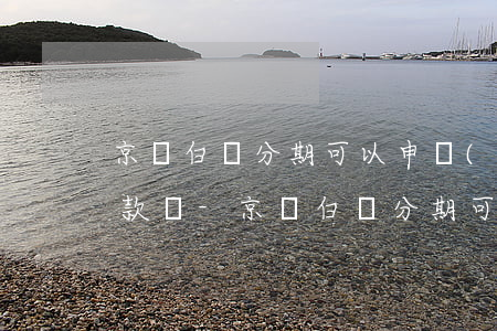 京東白條分期可以申請(qǐng)暫緩還款嗎-京東白條分期可以申請(qǐng)暫緩還款嗎安全嗎