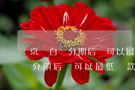 京東白條分期后還可以最低還款-京東白條分期后還可以最低還款嗎